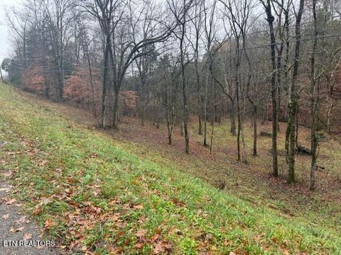 Tiny photo for Lot 13/14 Highland Tr, Sharps Chapel, TN 37866 (MLS # 1322791)