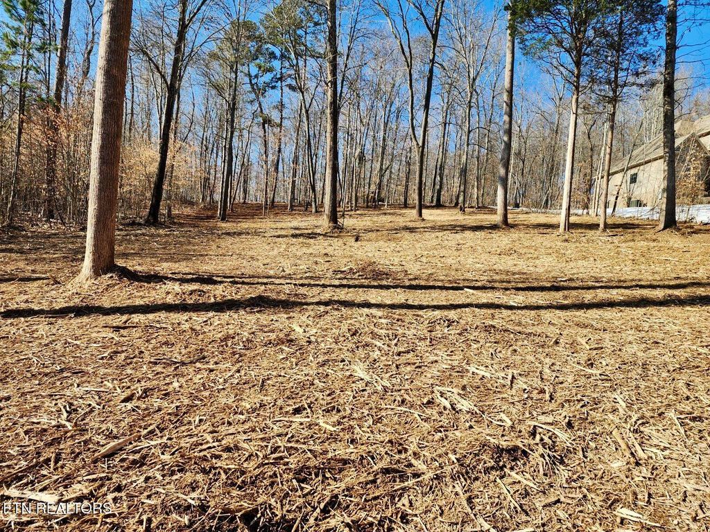 Photo of Hickory Pointe Lane, Maynardville, TN 37807 (MLS # 1287309)