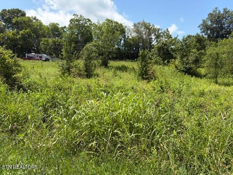 Photo of 615 Green Hill Rd, Dandridge, TN 37725 (MLS # 1349946)