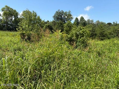 Tiny photo for 615 Green Hill Rd, Dandridge, TN 37725 (MLS # 1349946)