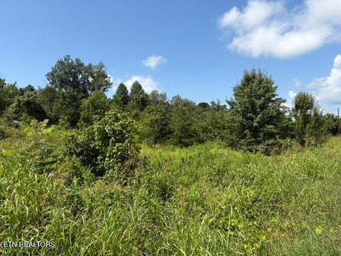 Tiny photo for 615 Green Hill Rd, Dandridge, TN 37725 (MLS # 1349946)