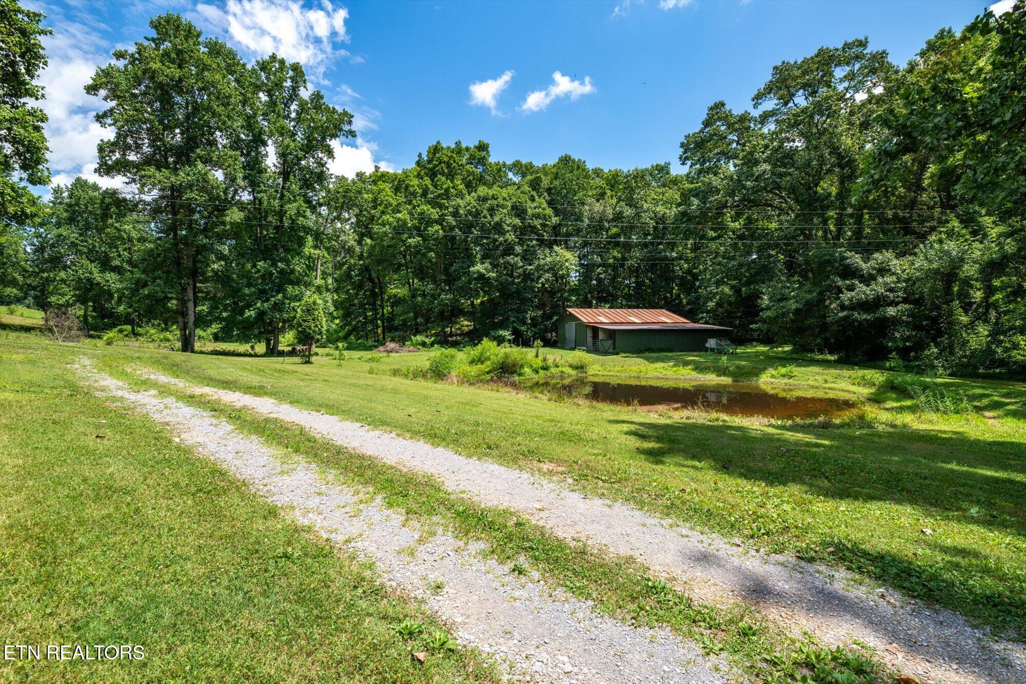 0 County Road 169