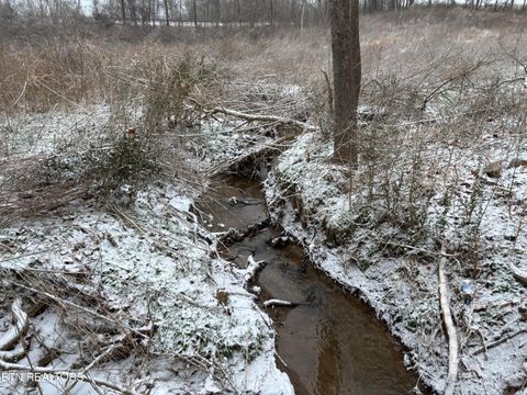 Tiny photo for Old Highway 63, Speedwell, TN 37870 (MLS # 1328170)