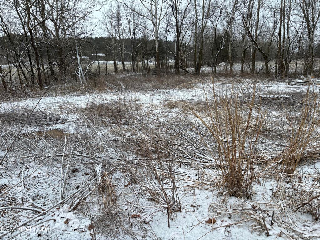 Photo of Old Highway 63, Speedwell, TN 37870 (MLS # 1328170)