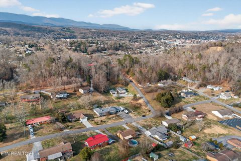 Tiny photo for 308 Sanford Ave, Clinton, TN 37716 (MLS # 1326292)