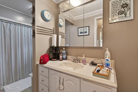 Tiny photo for 308 Sanford Ave, Clinton, TN 37716 (MLS # 1326292)