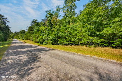 Tiny photo for 1 Mountain Ash Drive, Monterey, TN 38574 (MLS # 1355590)