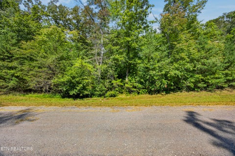 Tiny photo for 1 Mountain Ash Drive, Monterey, TN 38574 (MLS # 1355590)