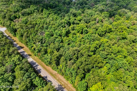 Tiny photo for 1 Mountain Ash Drive, Monterey, TN 38574 (MLS # 1355590)