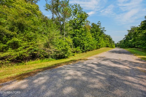 Photo of 1 Mountain Ash Drive, Monterey, TN 38574 (MLS # 1355590)