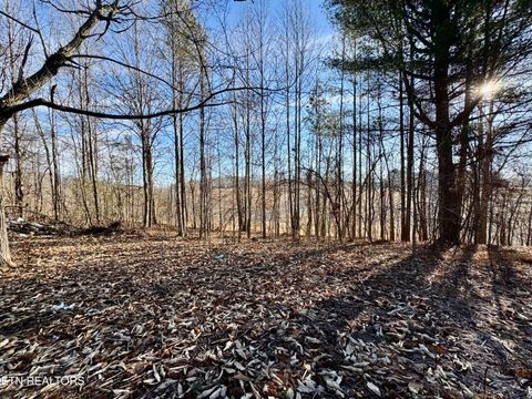 Tiny photo for 1265 Roberts Ridge Rd, Ten Mile, TN 37880 (MLS # 1326535)