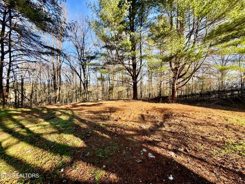 Tiny photo for 1265 Roberts Ridge Rd, Ten Mile, TN 37880 (MLS # 1326535)