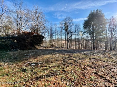 Tiny photo for 1265 Roberts Ridge Rd, Ten Mile, TN 37880 (MLS # 1326535)