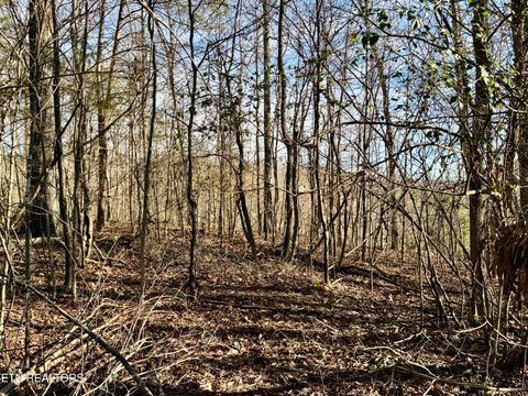 Tiny photo for 1265 Roberts Ridge Rd, Ten Mile, TN 37880 (MLS # 1326535)