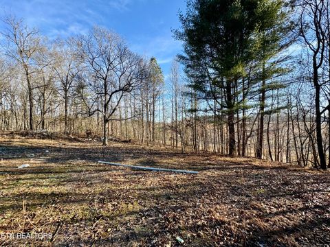 Tiny photo for 1265 Roberts Ridge Rd, Ten Mile, TN 37880 (MLS # 1326535)