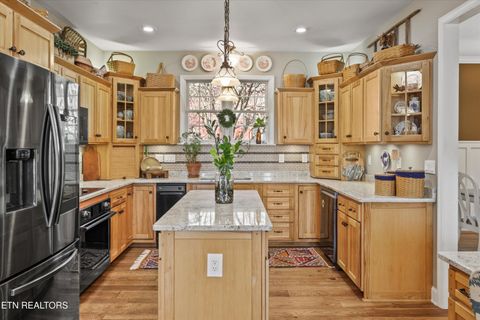 Tiny photo for 145 Walker Court, New Tazewell, TN 37825 (MLS # 1334608)