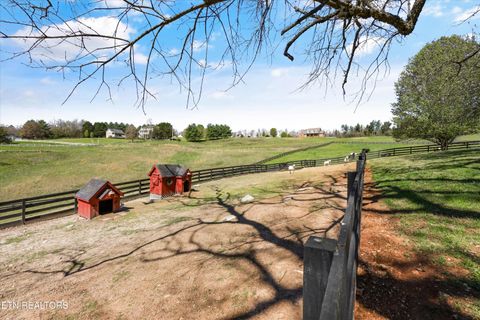 Tiny photo for 145 Walker Court, New Tazewell, TN 37825 (MLS # 1334608)