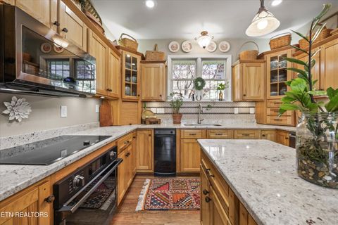 Tiny photo for 145 Walker Court, New Tazewell, TN 37825 (MLS # 1334608)