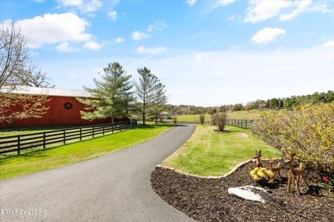 Tiny photo for 145 Walker Court, New Tazewell, TN 37825 (MLS # 1334608)