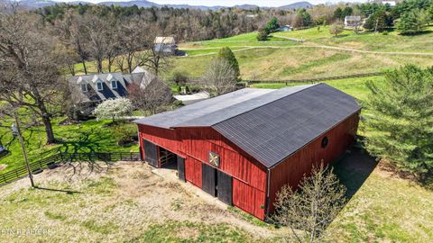 Tiny photo for 145 Walker Court, New Tazewell, TN 37825 (MLS # 1334608)