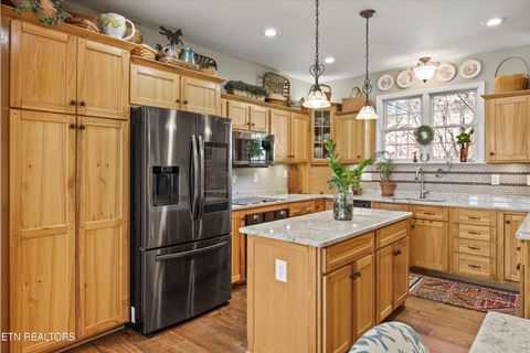 Tiny photo for 145 Walker Court, New Tazewell, TN 37825 (MLS # 1334608)