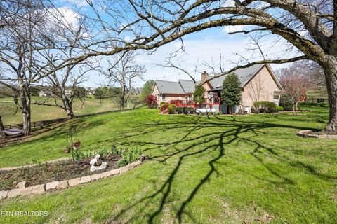 Tiny photo for 145 Walker Court, New Tazewell, TN 37825 (MLS # 1334608)