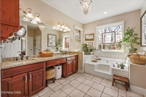 Tiny photo for 145 Walker Court, New Tazewell, TN 37825 (MLS # 1334608)