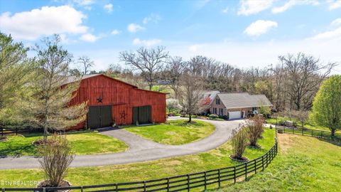 Tiny photo for 145 Walker Court, New Tazewell, TN 37825 (MLS # 1334608)