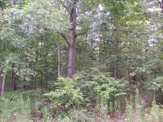 2023 COWETA DR, CROSSVILLE, TN 38572 - Image a2cc90f60d0e5ae07bec49c4f36a2a0b/3636618181