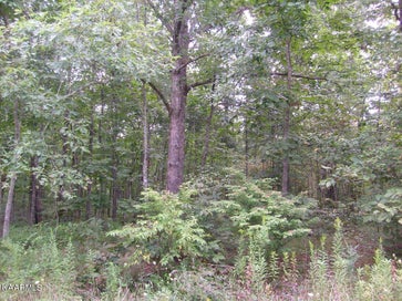 2023 Coweta Drive Crossville TN 38572