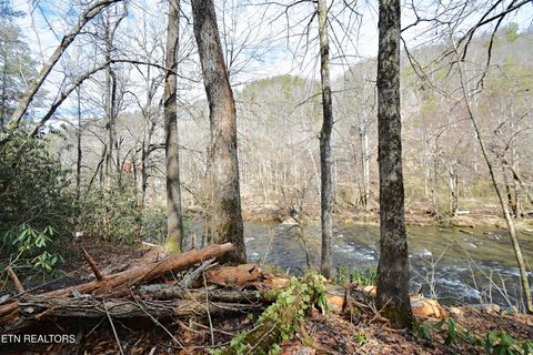 Tiny photo for Twin Pines Way, Sevierville, TN 37876 (MLS # 1334808)