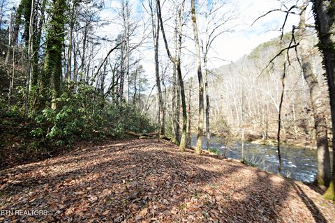 Tiny photo for Twin Pines Way, Sevierville, TN 37876 (MLS # 1334808)
