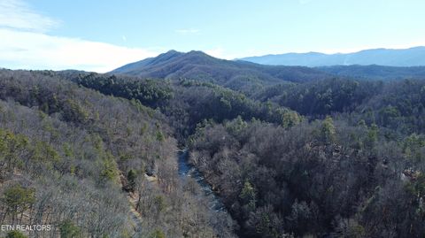 Tiny photo for Twin Pines Way, Sevierville, TN 37876 (MLS # 1334808)