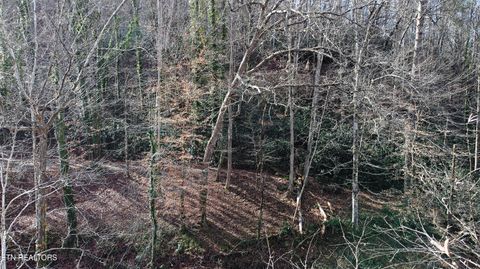 Tiny photo for Twin Pines Way, Sevierville, TN 37876 (MLS # 1334808)