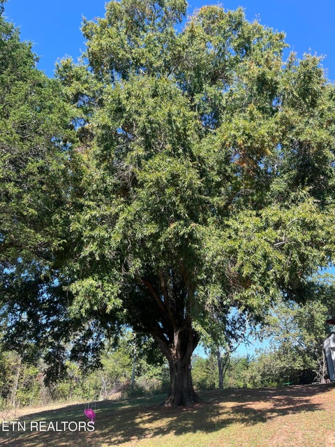 Tiny photo for 1245 County Line Rd, Mooresburg, TN 37811 (MLS # 1358325)