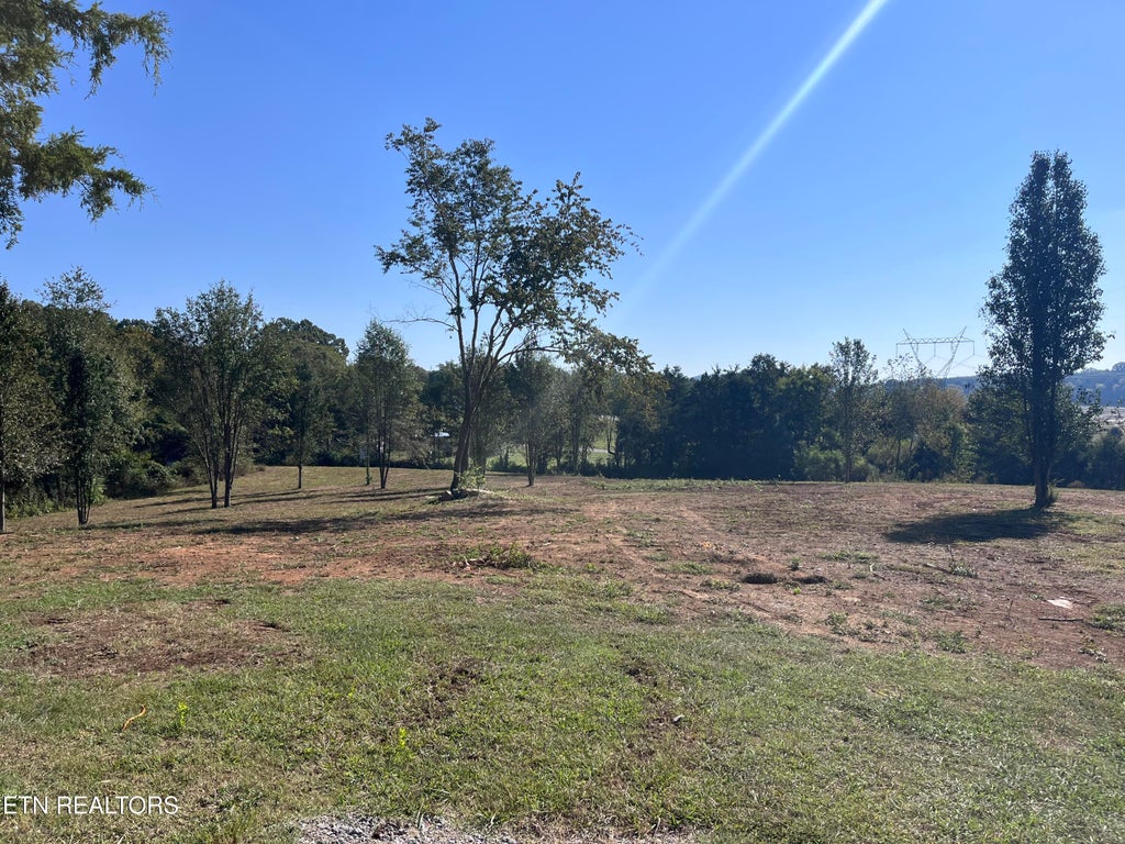 Photo of 1245 County Line Rd, Mooresburg, TN 37811 (MLS # 1358325)