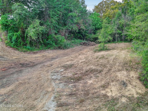 Tiny photo for 1245 County Line Rd, Mooresburg, TN 37811 (MLS # 1358325)