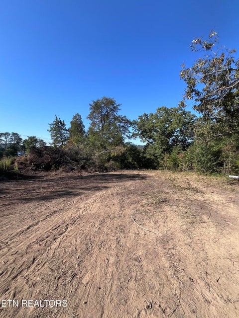 Tiny photo for 1245 County Line Rd, Mooresburg, TN 37811 (MLS # 1358325)