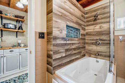Tiny photo for 1387 Tennessee 139, Dandridge, TN 37725 (MLS # 1343218)