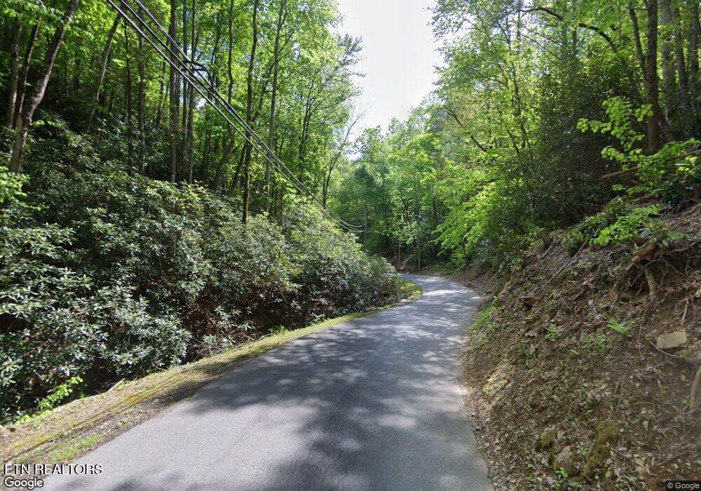 Photo of 0 Butler Branch Rd, Gatlinburg, TN 37738 (MLS # 1356578)