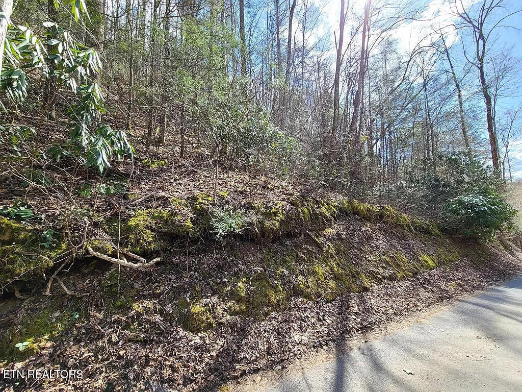 Photo of 0 Butler Branch Rd, Gatlinburg, TN 37738 (MLS # 1356578)
