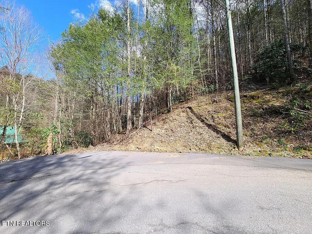Photo of 0 Butler Branch Rd, Gatlinburg, TN 37738 (MLS # 1356578)