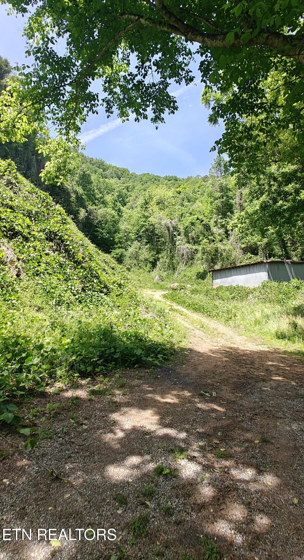 Photo of 206 Caney Creek Rd, Pigeon Forge, TN 37863 (MLS # 1339500)