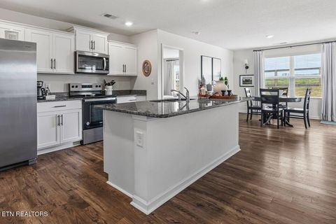 Tiny photo for 176 Crescent Circle, Niota, TN 37826 (MLS # 1334088)