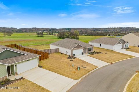 Tiny photo for 176 Crescent Circle, Niota, TN 37826 (MLS # 1334088)