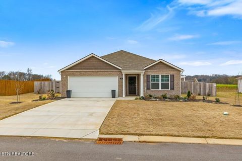 Tiny photo for 176 Crescent Circle, Niota, TN 37826 (MLS # 1334088)
