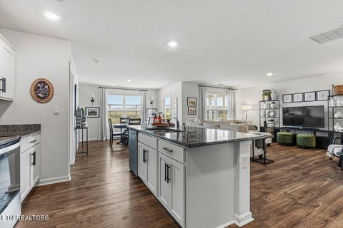 Tiny photo for 176 Crescent Circle, Niota, TN 37826 (MLS # 1334088)