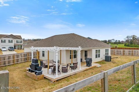 Tiny photo for 176 Crescent Circle, Niota, TN 37826 (MLS # 1334088)