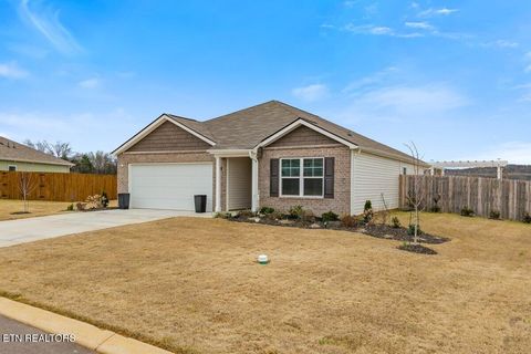 Tiny photo for 176 Crescent Circle, Niota, TN 37826 (MLS # 1334088)