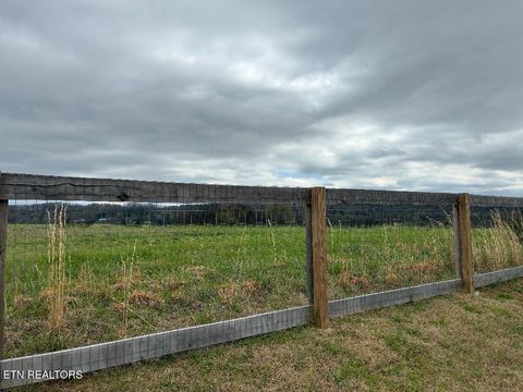 Tiny photo for 176 Crescent Circle, Niota, TN 37826 (MLS # 1334088)